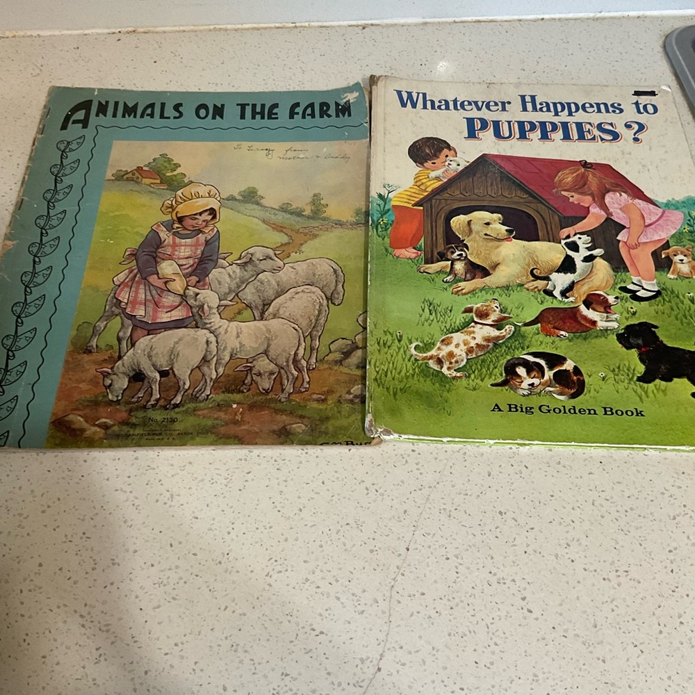 2 Vintage Books